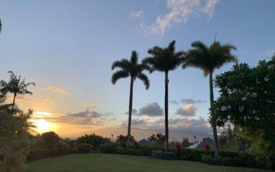 The best moving checklist you need before relocating to Maui