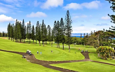 Moving to Maui: Tips for Buying Luxury Real Estate in Kapalua
